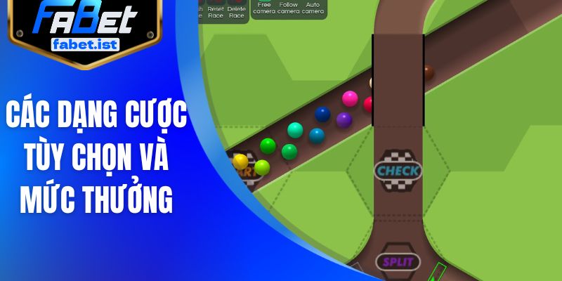 Các dạng cược tùy chọn và mức thưởng