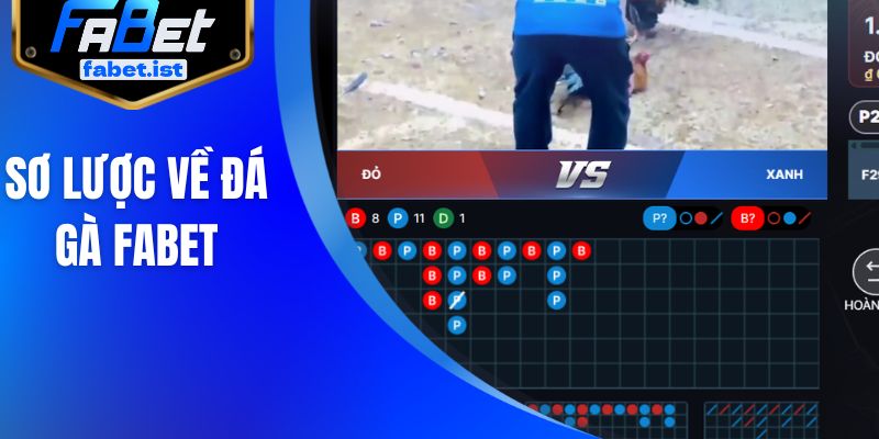 Sơ lược về đá gà FABET