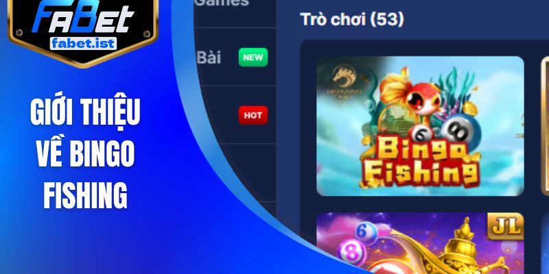 Giới thiệu về bingo fishing
